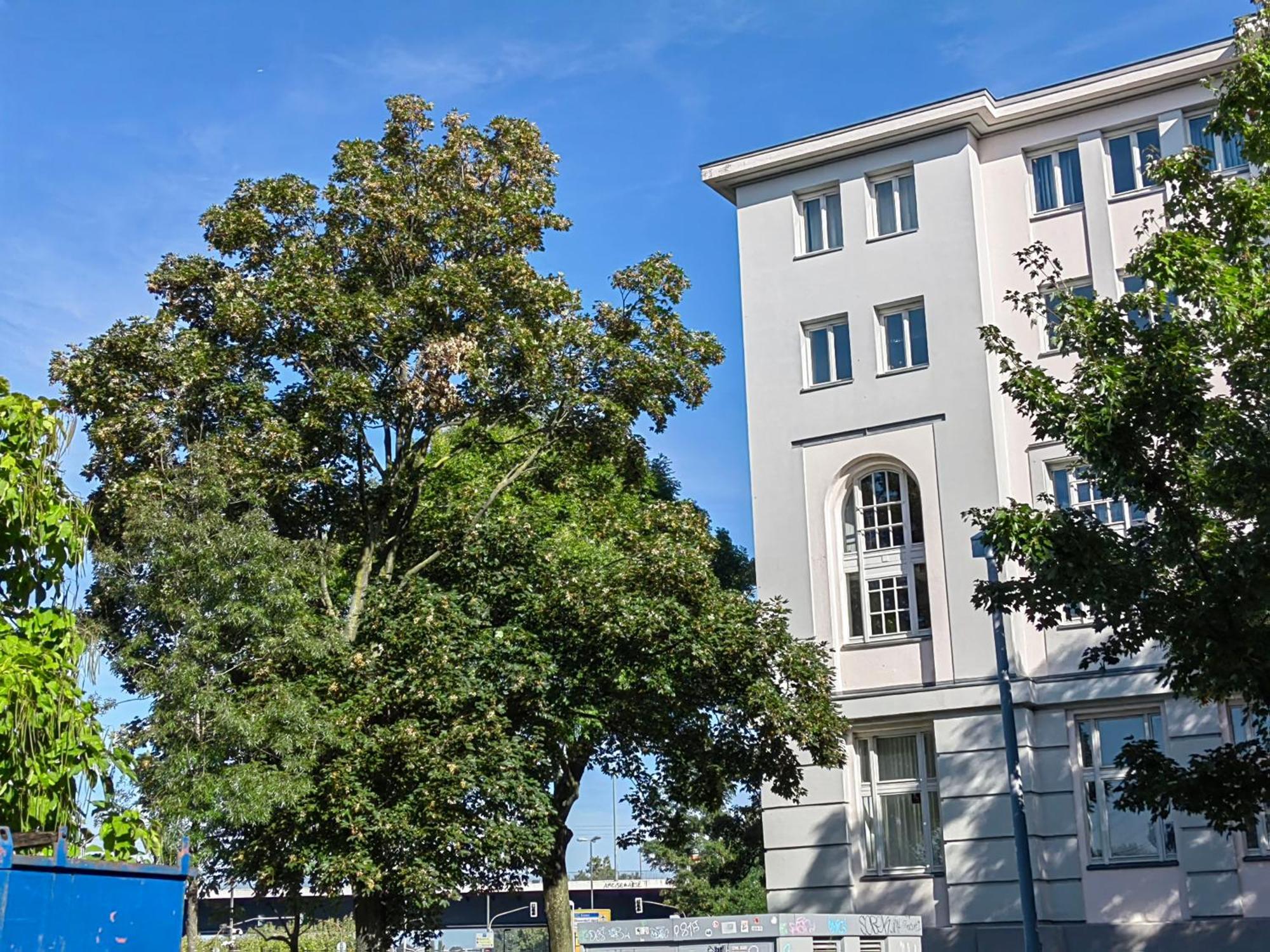 Appartamento Epic Location Düsseldorf Esterno foto